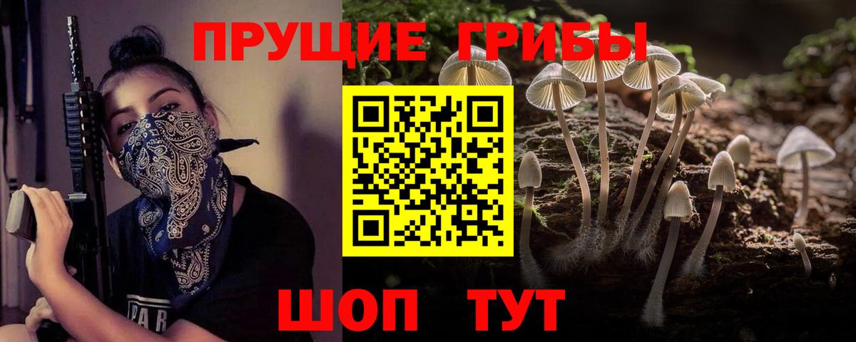 A-PVP Мытищи