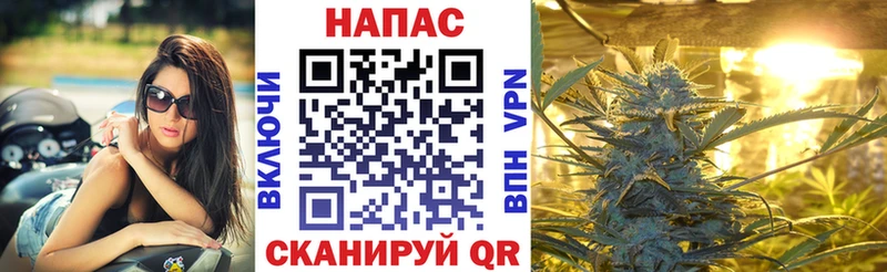 Шишки марихуана VHQ  наркота  Мытищи 